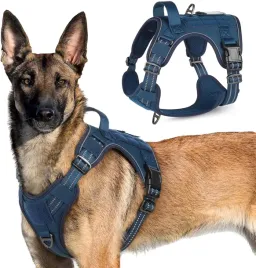 kamizelka-taktyczna-dla-psa-rabbitgoo-xl-z-panelem-molle-odblaskowa