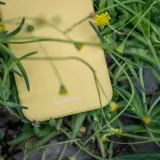 etui-do-redmi-note-10-10s-spacecase-case-szklo-zalaczone-wyposazenie-szklo-hartowane-szmatka-do-czyszczenia