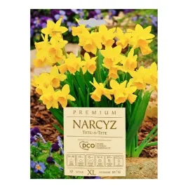 narcyz-karlowy-tete-a-tete-dco-10-szt-cebulek-zolty-kapers