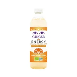 piwo-imbirowe-energy-bezalkoholowe-fair-for-life-bio-350-ml-karma
