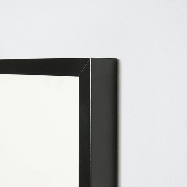 Ribba Ikea 70x100
