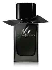 burberry-mr-burberry-edp-100-ml