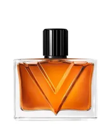 valentino-vendetta-uomo-edp-90-ml
