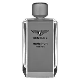 bentley-momentum-intense-edp-100-ml-produkt