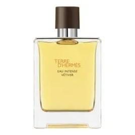 hermes-terre-d-hermes-eau-intense-vetiver-edp-100