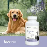 lab-v-thyron-90-kaps-marka-bez-marki