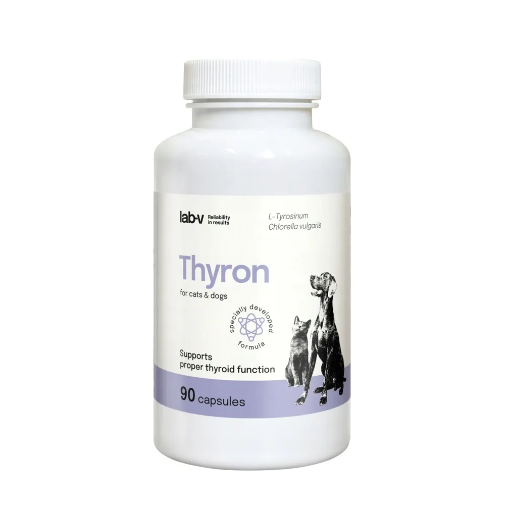 lab-v-thyron-90-kaps-marka-bez-marki