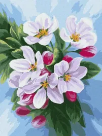 malowanie-po-numerach-kwitniecie-jabloni-30x40cm