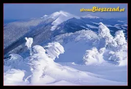 kolekcjonerska-karta-przyrody-bieszczady-3