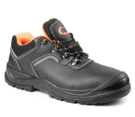 bearfield-polbut-r03-s3-src-polstar-bbr4s3-41