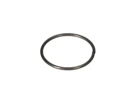 bosch-160460102u-pierscien-sprezysty-gbh-2-20-d-2-szt