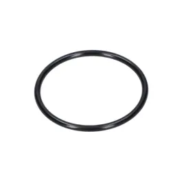 bosch-1610210224-pierscien-samouszczeln-gsh-7-vc-1-szt