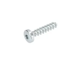 bosch-1613490027-wkret-soczewkowy-torx-gsh-11-vc-5-szt