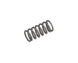 bosch-1614643023-sprezyna-dociskowa-gbh-2-21-5-szt