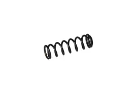 bosch-1619pb4296-sprezyna-wahliwa-gho-6500-2-szt