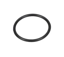 bosch-f000640007-pierscien-samouszczeln-gks-18v-57-g-5-szt