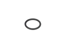 bosch-f016f03487-pierscien-samouszczeln-aquatak-120-i-2-szt