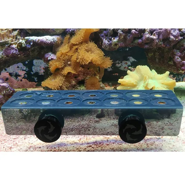 flipper-frag-rack-blue