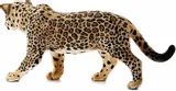 schleich-14769-jaguar-waga-z-opakowaniem-0-2-kg-marka-schleich