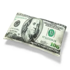 dekoracyjna-poduszka-w-ksztalcie-banknotu-sto-dolarow-100-usd