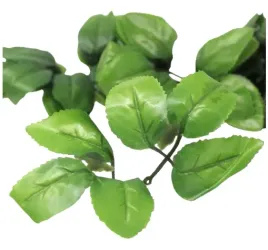 plastikowe-listki-do-kwiatow-mydlanych-10-sztuk