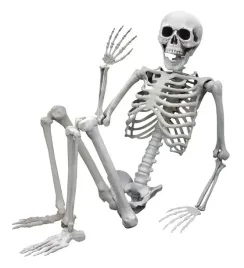 realistyczny-duzy-szkielet-170-cm-mroczna-dekoracja-na-halloween