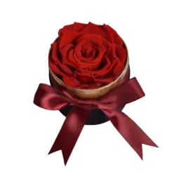flower-box-wieczna-prawdziwa-roza