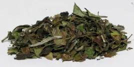 herbata-biala-pai-mu-tan-qingshan-organic-100g