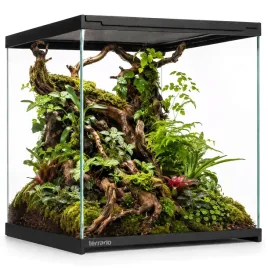 terrario-frevo-clear-terrarium-30x30x30cm-terrarium-szklane