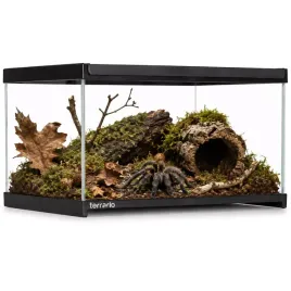 terrario-frevo-clear-terrarium-30x20x17cm-terrarium-szklane