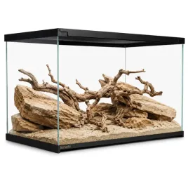 terrario-frevo-clear-terrarium-50x30x30cm-terrarium-szklane