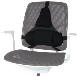 fellowes-ergonomia-podporka-poduszka-profesjonalna-pod-plecy