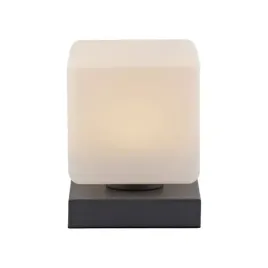 elegancka-lampa-biurkowa-paul-neuhaus-do-salonu-biura-i-gabinetu