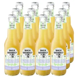 bracia-sadownicy-lemoniada-o-smaku-limonki-275-ml-x-12-sztuk