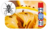 muchospray-bros-400-ml-certyfikat-ce-weee