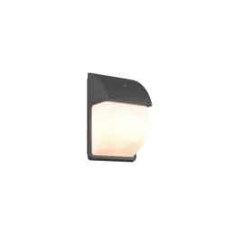 stylowa-lampa-zewnetrzna-elewacyjna-z-czujnikiem-zmierzchu-ogrod