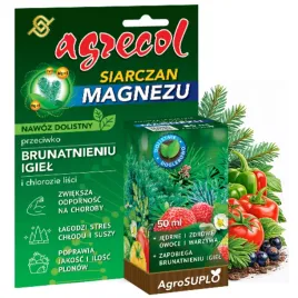 magnez-nawoz-dolistny-przeciw-brunatnieniu-igiel-zwieksza-odpornosc-roslin