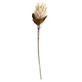 galazka-sztuczna-aurella-protea-kremowa-72-cm-homla