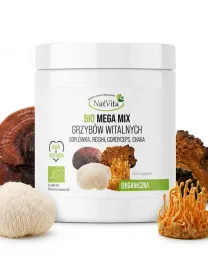 mega-mix-grzyby-witalne-bio-reishi-cordyceps-chaga-hericium-mielone-natvita