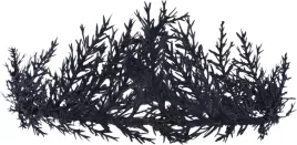 wianek-kwiatowy-gotycki-regulowany-halloween-renesansowy-tiara