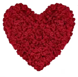 platki-roz-czerwone-3000-szt-konfetti-kwiaty-slub-wesele-roze-dzien-kobiet
