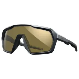 okulary-wiley-x-citadel-chctd10-gold-graphite-grey