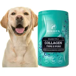 holista-collagen-typ-ii-pure-200g-kolagen-odbudowa-chrzastki-dysplazja