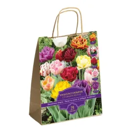 zestaw-prestige-tulipany-pelne-25-cebulek-idealny-na-prezent