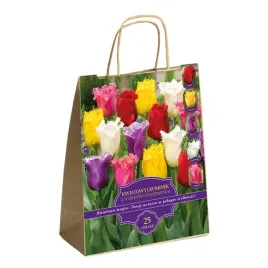 zestaw-prestige-tulipany-strzepiaste-25-cebulek-idealny-na-prezent
