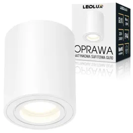 oprawa-natynkowa-led-halogenowa-biala-spot-tuba-sufitowa-gu10