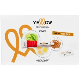 prezentacja-nowych-odcieni-alfaparf-yellow-color-chart-dla-salonu-1-szt
