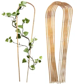 luk-bambusowy-do-roslin-podpora-90-cm-25-szt-bambus-giety-tyczka