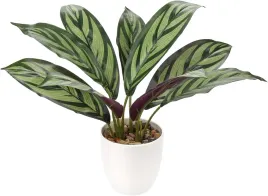 sztuczny-kwiat-doniczkowy-calathea-33cm
