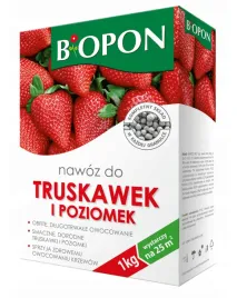 nawoz-do-truskawek-i-poziomek-1-kg-br-bio-1060